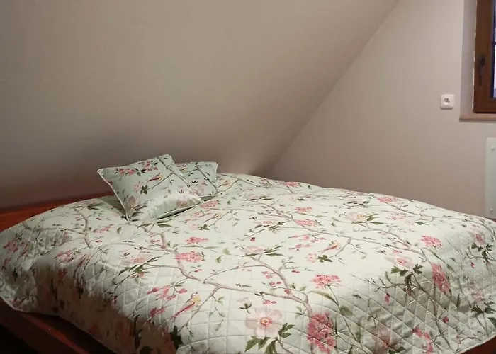 Novoveska Chaloupka Domek alpejski *