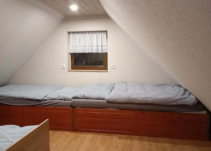 Domek alpejski Novoveska Chaloupka *